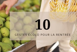 10 gestes écolo à adopter à la rentrée