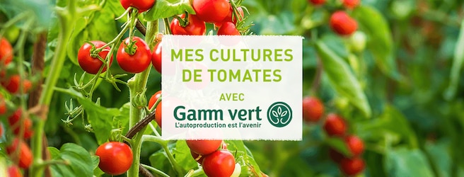 Mon potager de mai avec Gamm vert 