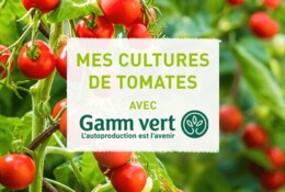 Mon potager de mai avec Gamm vert