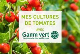 Mon potager de mai avec Gamm vert 