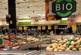 Magasins bio les moins chers : comment manger bio sans exploser son budget ?
