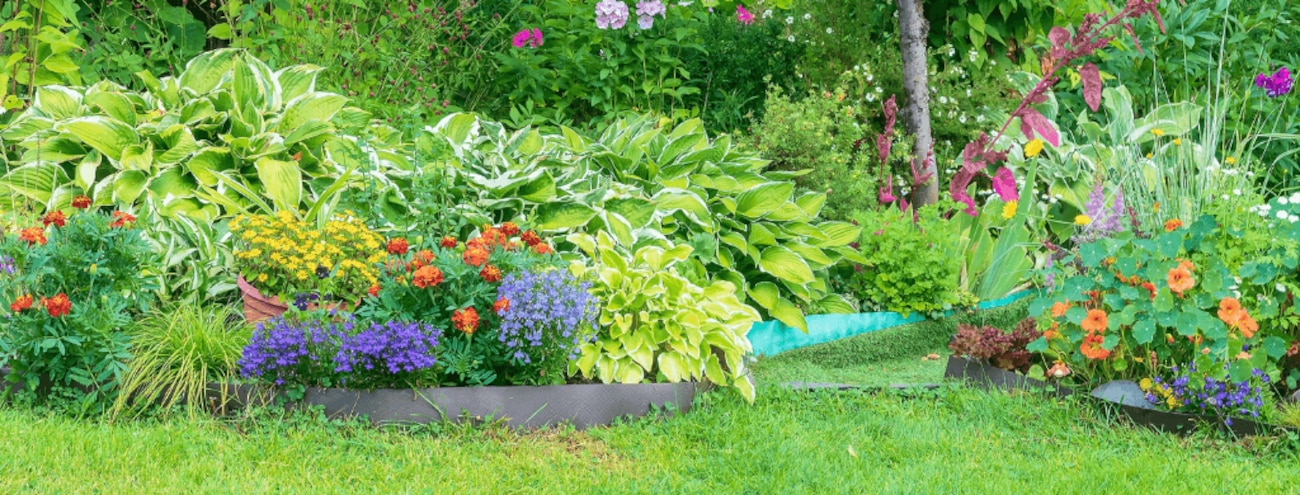 Comment prendre soin du jardin sans se ruiner ? 