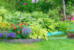 Comment prendre soin du jardin sans se ruiner ? 