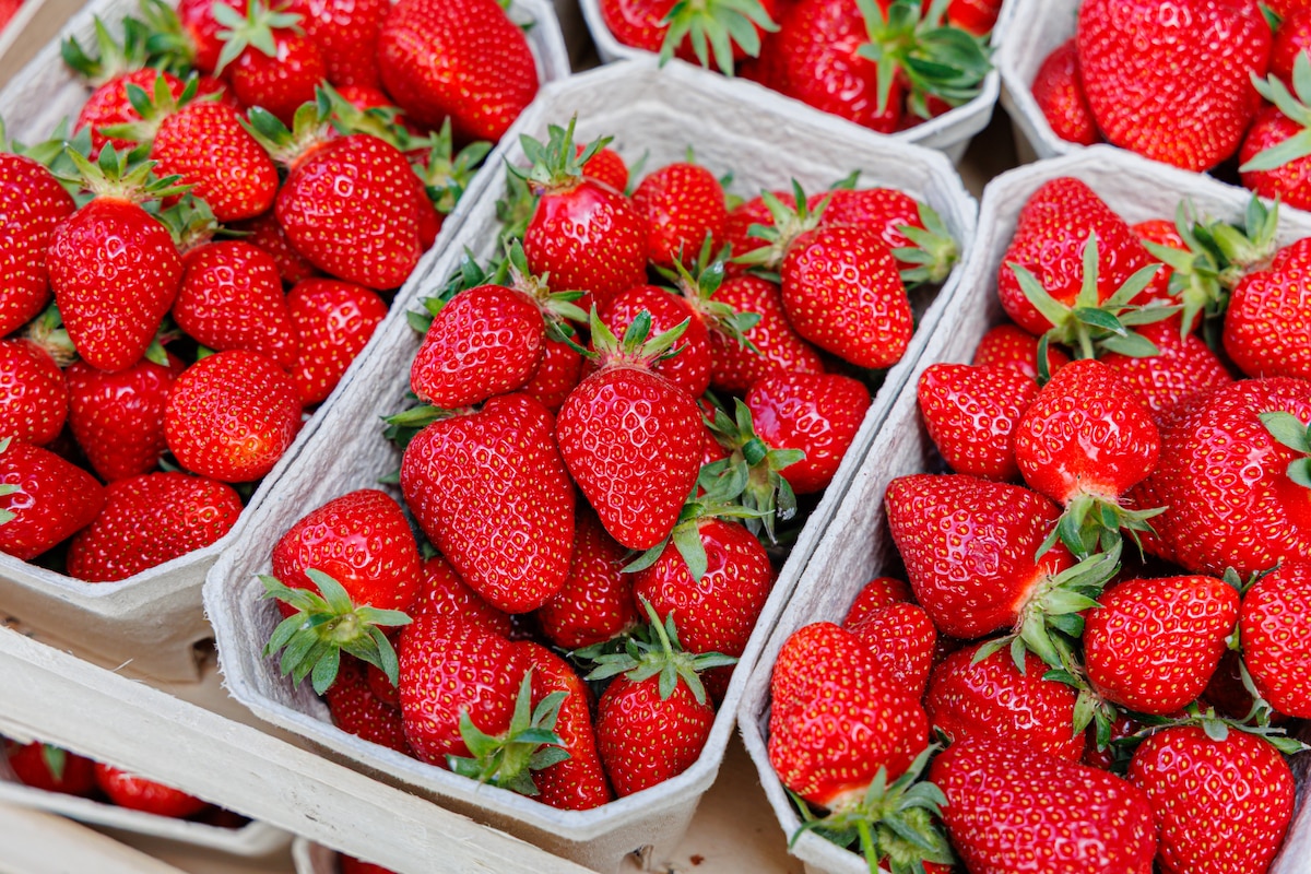 Fraises