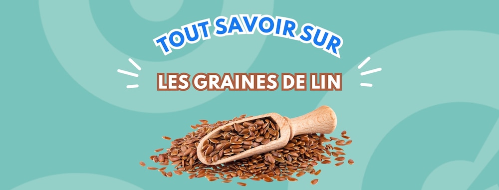 Graines de lin dans une cuillère en bois avec écrit en fond tout savoir sur graines de lin