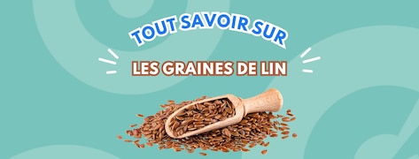 Graines de lin dans une cuillère en bois avec écrit en fond tout savoir sur graines de lin