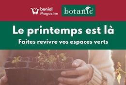 Un printemps ensemble pour oser se lancer