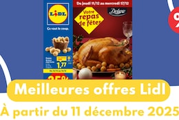 Catalogue Lidl du 11 au 17 décembre 2025 : les meilleures offres