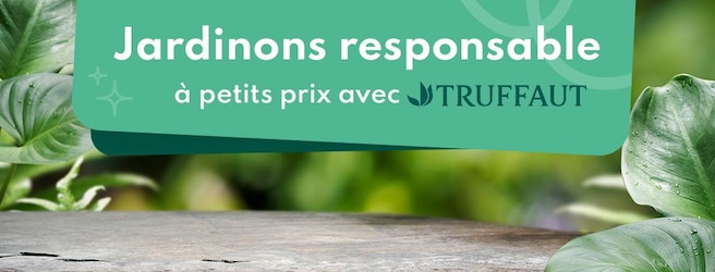 Jardinons responsable avec Truffaut