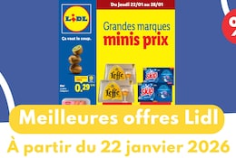 Catalogue Lidl du 22 janvier 2026 : les meilleures offres