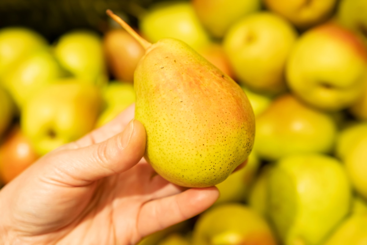 Main tenant une poire