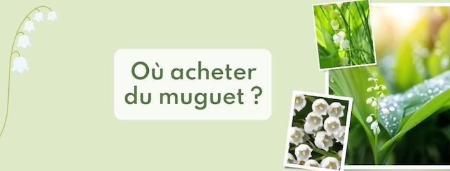 Muguet offres Bonial 2023