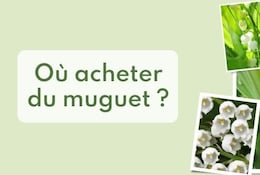 Muguet offres Bonial 2023