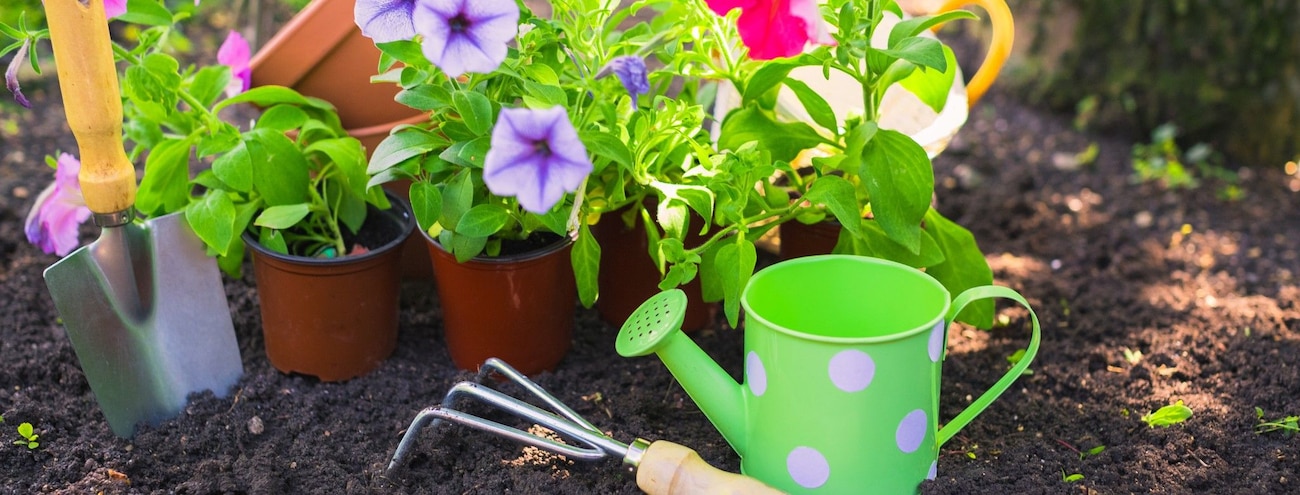 Jardinage de printemps : nos meilleures offres et astuces