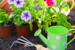 Jardinage de printemps : nos meilleures offres et astuces