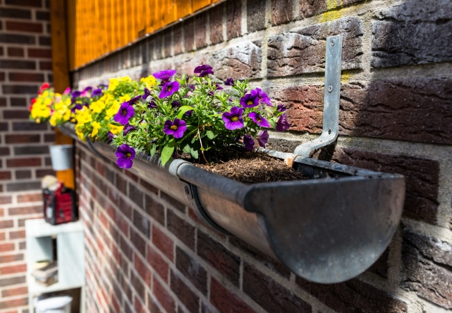 DIY #7 : jardinière-gouttière en fleurs