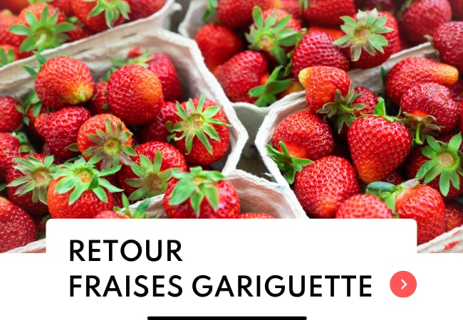 Fraise gariguette de retour