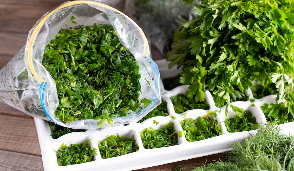 Herbes aromatiques au congélateur