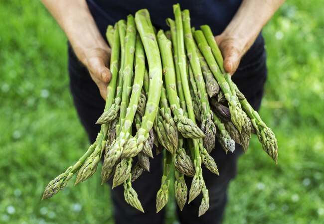 Liste des légumes de saison en mars - avril 