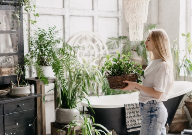 Réunir ses plantes dans une même pièce