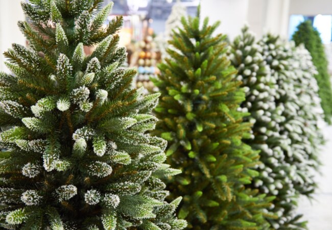 Tous les types de sapins artificiels