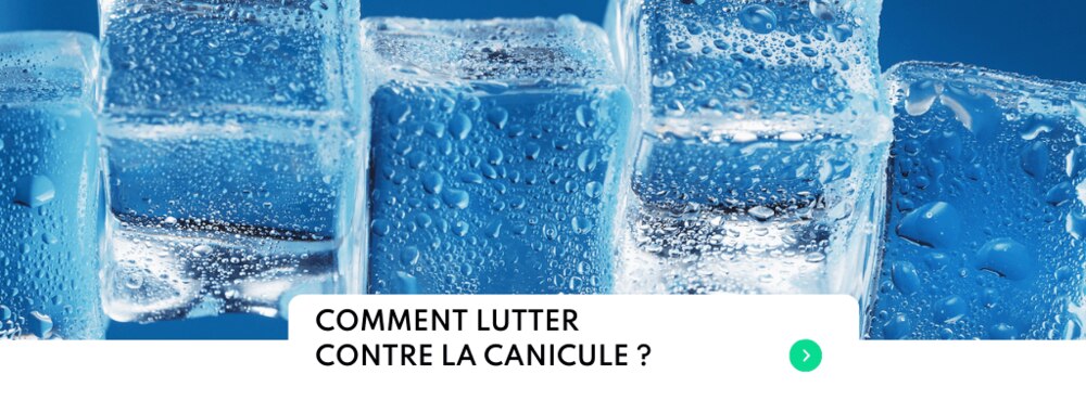 Astuces pour lutter contre la canicule en été