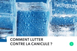 Astuces pour lutter contre la canicule en été