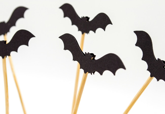 Cinq chauves-souris noires en papier fixées sur des bâtonnets