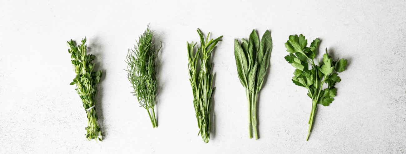 5 astuces pour conserver ses herbes aromatiques - Cuisine Actuelle