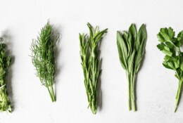 Comment conserver les herbes aromatiques plus longtemps ?