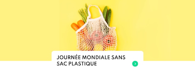 Comment faire ses courses sans sac plastique ?