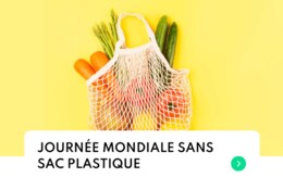 Comment faire ses courses sans sac plastique ?