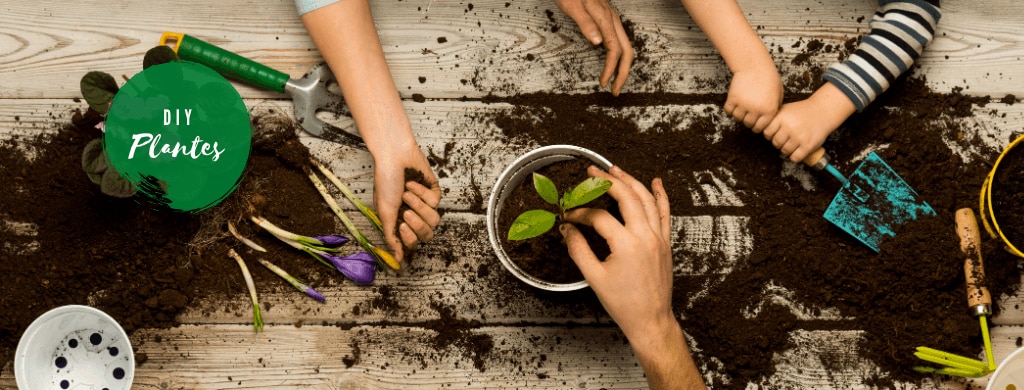 DIY jardinières et pots de fleurs