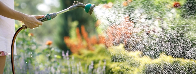 Nos astuces pour bien entretenir son jardin durant l'été