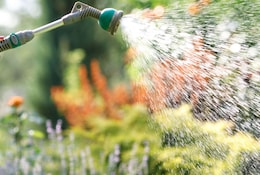 Nos astuces pour bien entretenir son jardin durant l'été