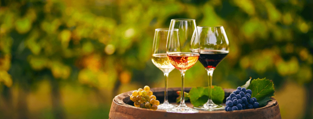 Foire aux Vins de printemps : calendrier, promos, conseils