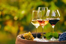 Foire aux Vins de printemps : calendrier, promos, conseils