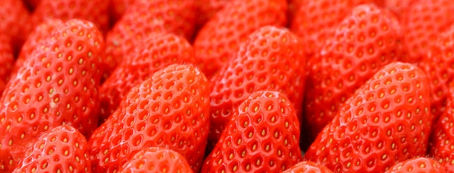 Les fraises gariguettes de retour en rayon ! 