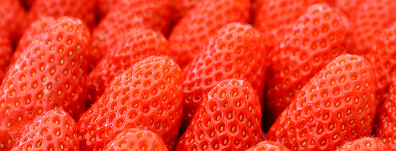 Les fraises gariguettes de retour en rayon ! 