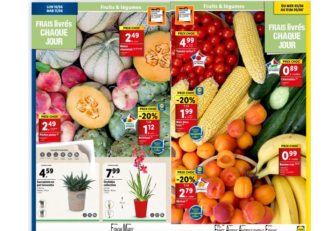 fruits et légumes Lidl