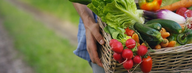 fruits et légumes de saison