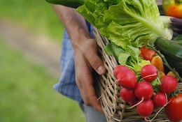 Fruits et légumes de saison de mai et juin