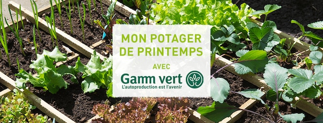 Mon potager d’avril avec Gamm vert 