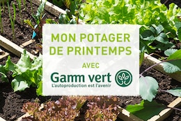 Mon potager d’avril avec Gamm vert 