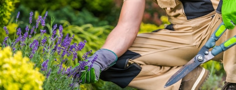 Les essentiels jardinage Parkside à shopper chez Lidl  