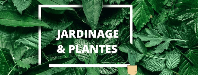 Jardinage & activités DIY