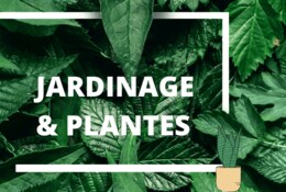 Jardinage & activités DIY