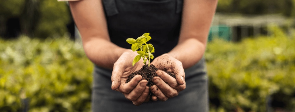 Jardinage de printemps 