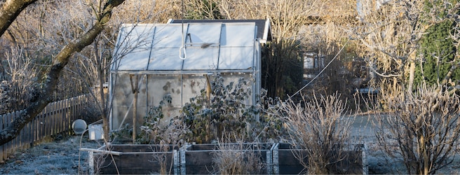 Jardiner en hiver : entretien, potager, récoltes