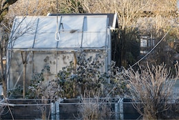 Jardiner en hiver : entretien, potager, récoltes